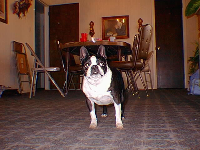 A picture of Zipper