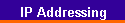 IP Addressing